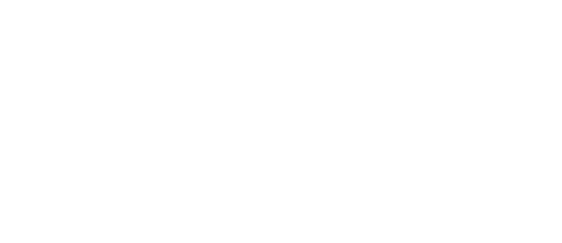 logo bivw 1