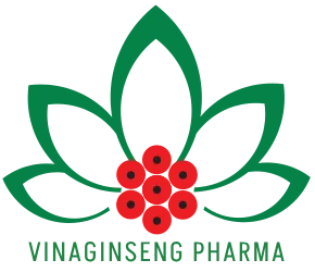 Trang chủ logo Vinagingsen